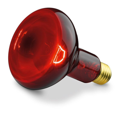 Лампа инфракрасная ИКЗК 220-250 R127, цоколь Е27 (15шт/ящ)